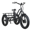 Трехколесный электрический грузовой велосипед FAT Tire