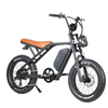 Cow Boy 48V 750W Electric Fat Tires Bike