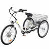 Tricycle E-Cargo Bike