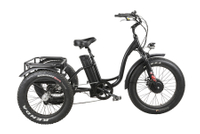 FAT Tire Tricycle Step Through E-Cargo Bike